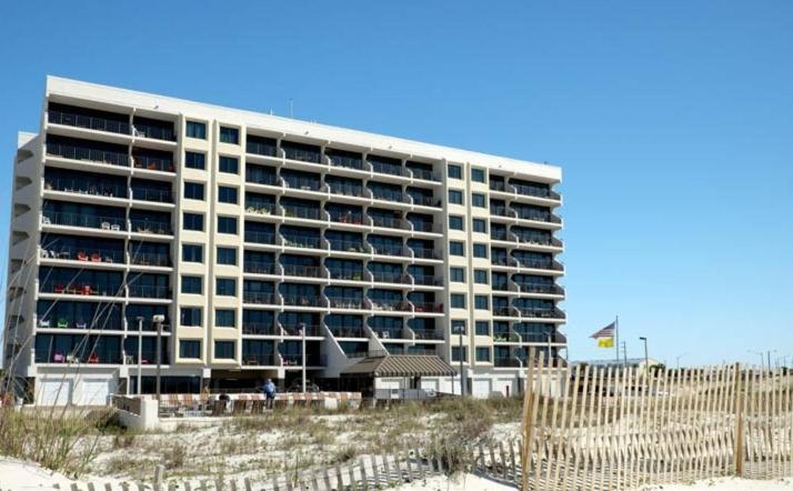Island Winds East 308 By Albvr - Beautifully Renovated Beachfront Condo & Steps Away From Hangout & More! Gulf Shores Eksteriør billede